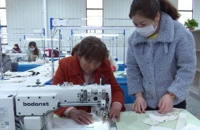 宝鸡凤县 三变促增收，安居有乐业——职业技能培训助力乡村振兴